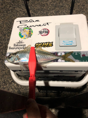 Newロッドの鱗付け