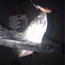 シゴオワアジング