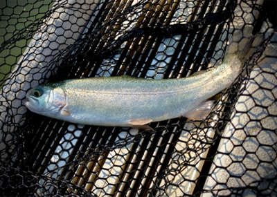 岸和田フィッシングパーク