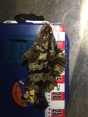 今年の釣り納めに友達と