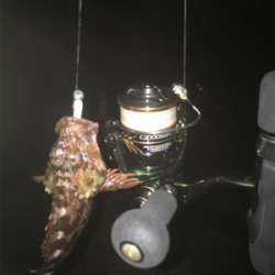 ひさびさの釣行が…