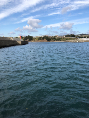 クリスマスアオリ