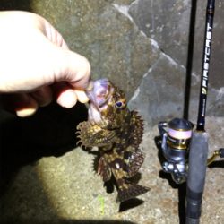 釣り納めロックフィッシュ