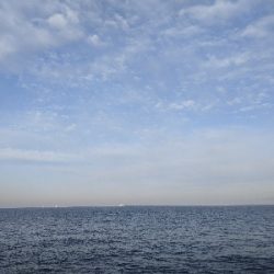 アジしかおらへん