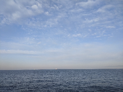 アジしかおらへん