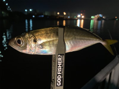 2020年最後のアジング投稿【釣り納め】