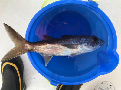 2020 釣り納め釣行