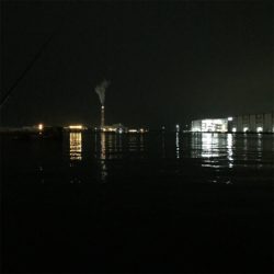 大阪湾奥アジング 釣り納め