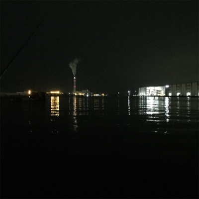 大阪湾奥アジング 釣り納め