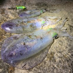 サイズが伸びず…