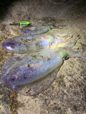 サイズが伸びず…