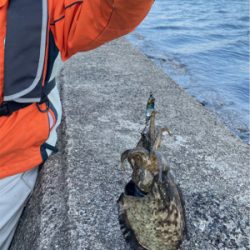 小さなメタルジグにイカ