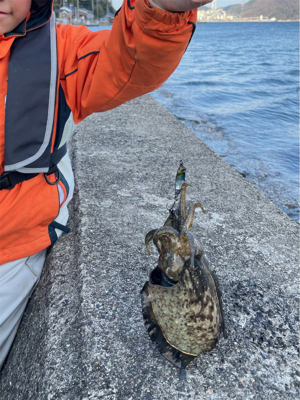 小さなメタルジグにイカ