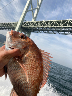 釣り納！タイラバGO!