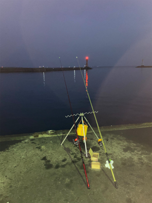 今年の釣り納めは、深日港にて、カレイ釣り