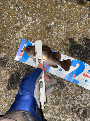 寒さに負けず新規開拓