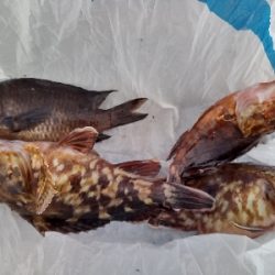 今年の釣り納め