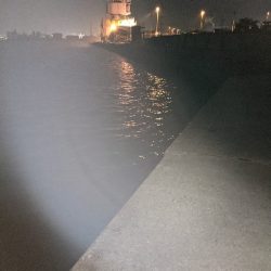 久しぶりのチーバス