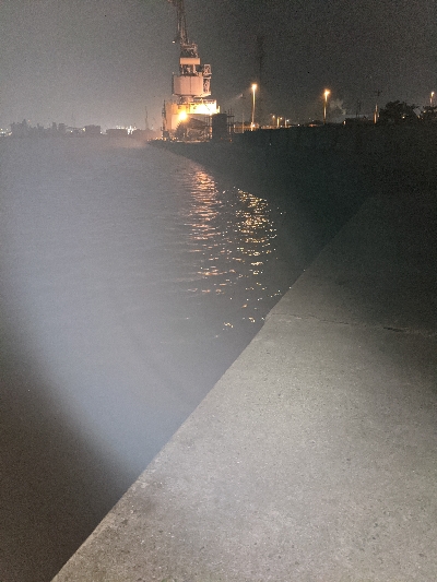 久しぶりのチーバス