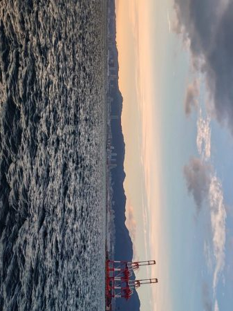 良い型のアジ継続中！尺も！