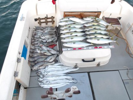 遊漁船SOUTH(サウス)釣果