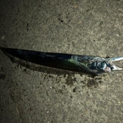 アジングの後で