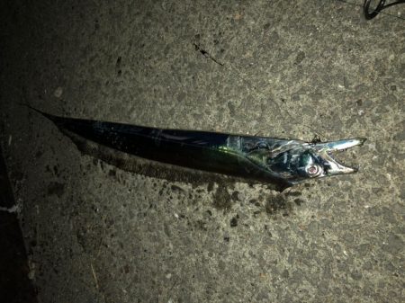 アジングの後で