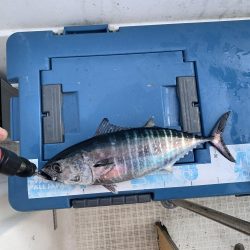 今年最後かもしれないマイボート釣行