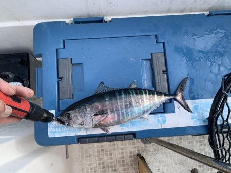 今年最後かもしれないマイボート釣行