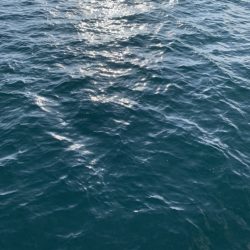 絶好の釣り日和