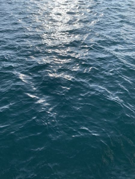 絶好の釣り日和