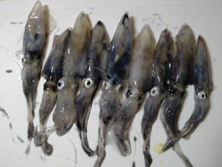 初めてのターゲット