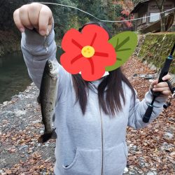 芥川マス釣り場