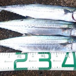 会社の友達と3人で