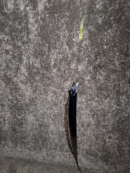 魚調査というよりは？