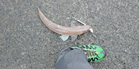 荒天の日はここ！！