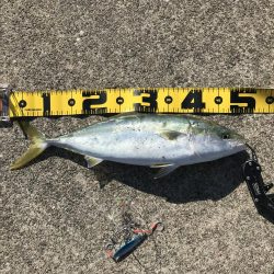 初めての南芦屋浜東岸で青物狙い！