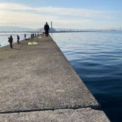 アジング・メバリング