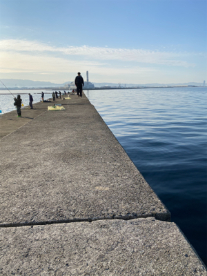 アジング・メバリング