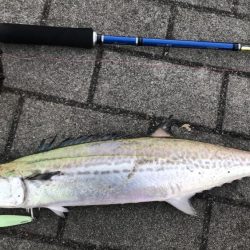 ベストコンディションな日に