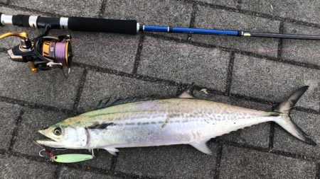 ベストコンディションな日に