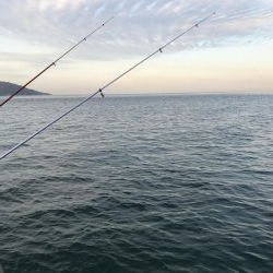 カレイ不発!でアナゴん