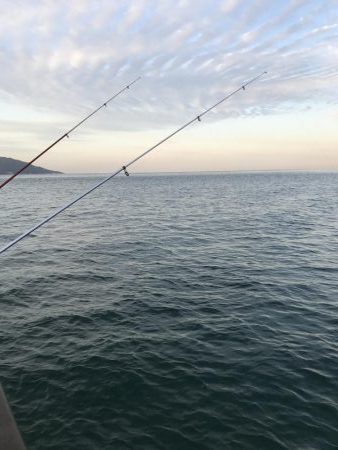 カレイ不発!でアナゴん