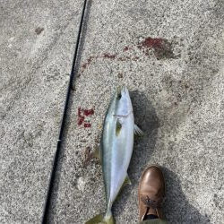 寒波あとに漸く、青物