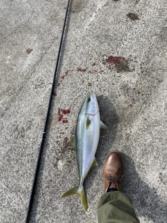 寒波あとに漸く、青物