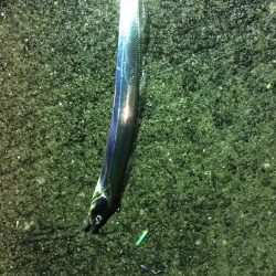 あたりはあるが•••