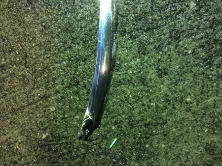 あたりはあるが•••