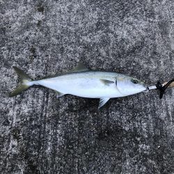 時合いは一瞬！その時…