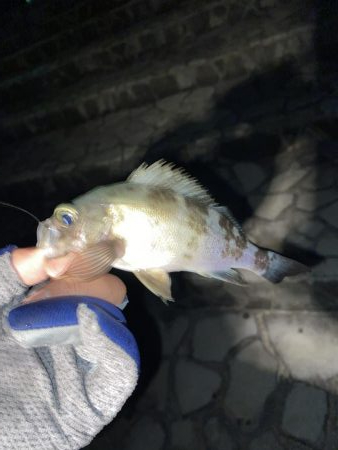 タングステン！