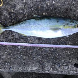 シーズン終了間近！お急ぎ下さい